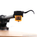Rega Planar 3 Belt-Drive Turntable; Oak w/ Nagaoka MP-110 MM