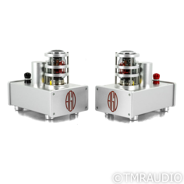 AGD Productions Inc. The Audion MkIII Monoblock Power Amplifiers; Pair