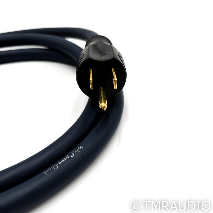 Audience Forte F3 Power Chord; 1.75m AC Cord (Mint)