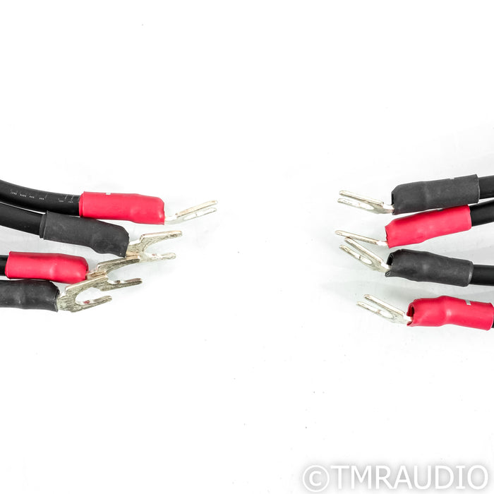 Synergistic Research Atmosphere X Alive Speaker Cables; 10ft Pair