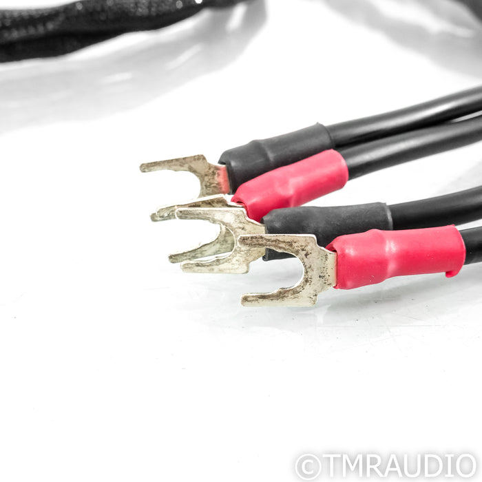 Synergistic Research Atmosphere X Alive Speaker Cables; 10ft Pair