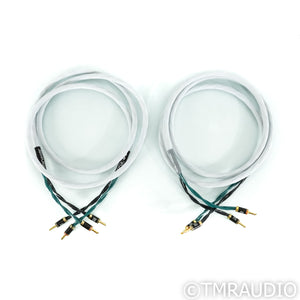 RSX Technologies ER-61 Benchmark Speaker Cables; 8ft Pair