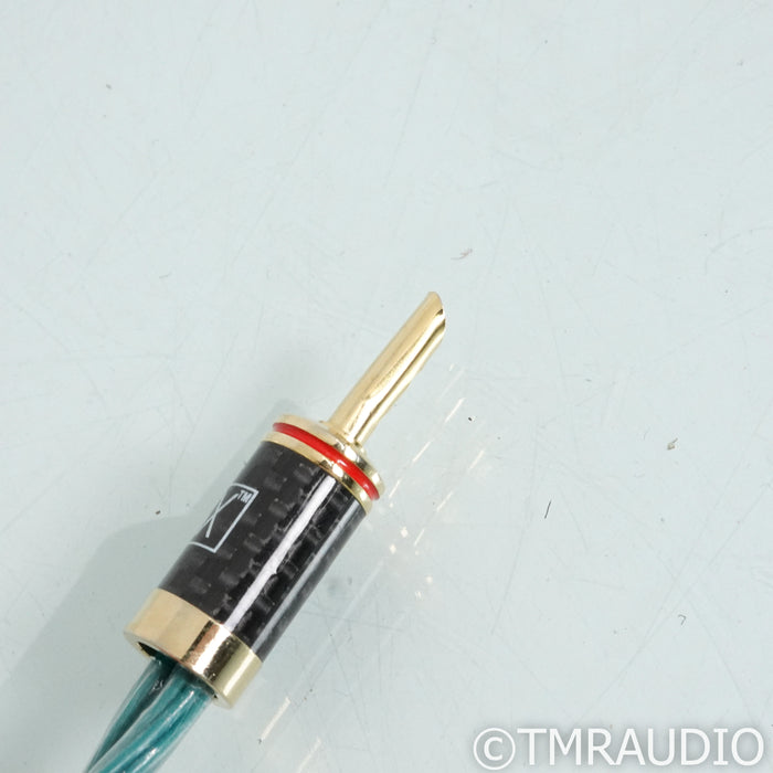 RSX Technologies ER-61 Benchmark Speaker Cables; 8ft Pair
