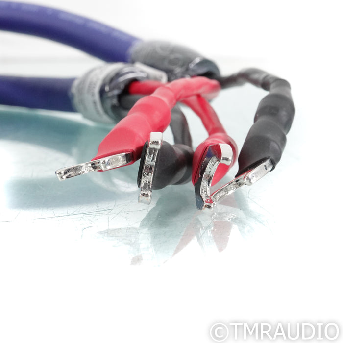 Cardas Clear Cygnus Bi-Wire Speaker Cables; 2m Pair; 9mm Spades (Open Box)