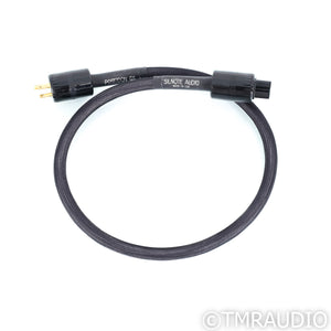 Silnote Audio Poseidon GS Power Cable; 2m AC cord