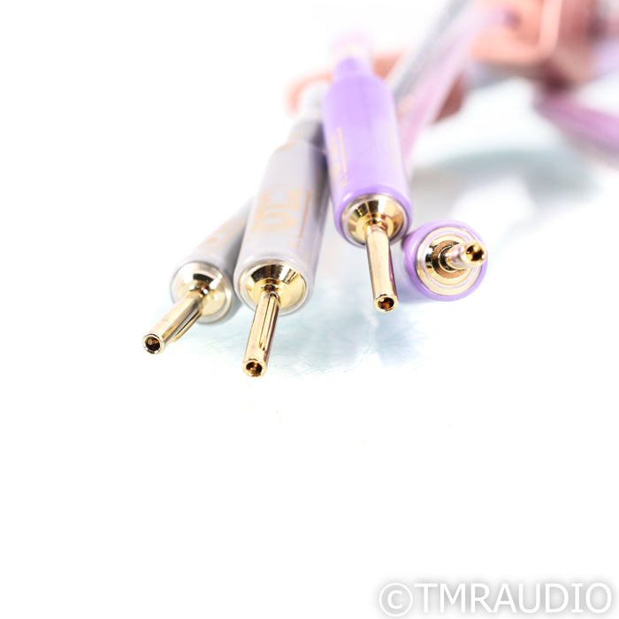 XLO Electric Signature 3 Speaker Cables; 2.5m Pair
