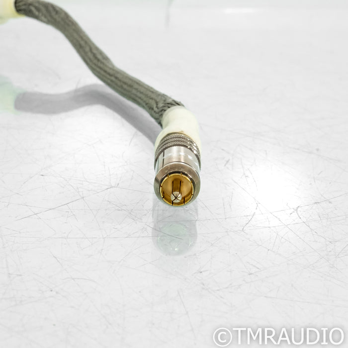 Gutwire Ultimate RCA Ground Cable; 10ft