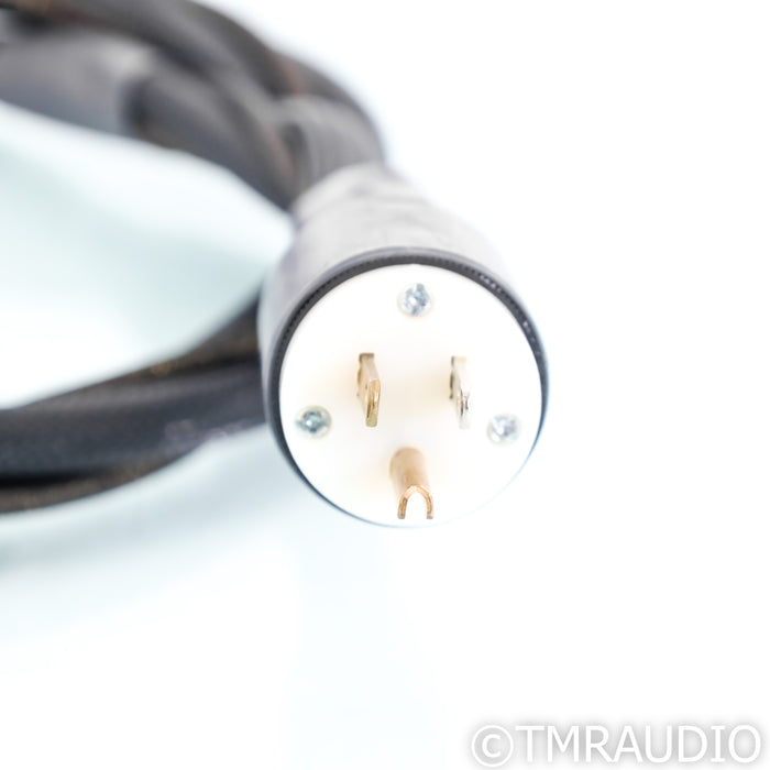 Synergistic Research Tesla Precision Reference Power Cable; 1.5m AC Cord