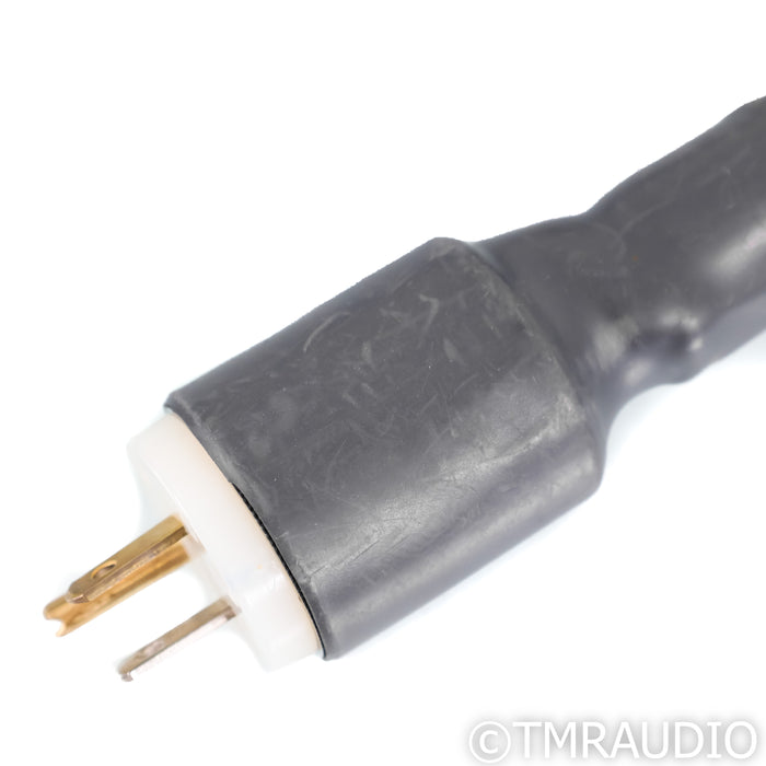 Synergistic Research Tesla T3 Power Cable; 6ft AC Cord; C19 20A