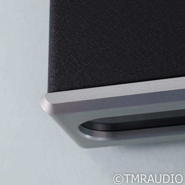 Bel Canto e.One REF600M Monoblock Power Amplifiers; Pair