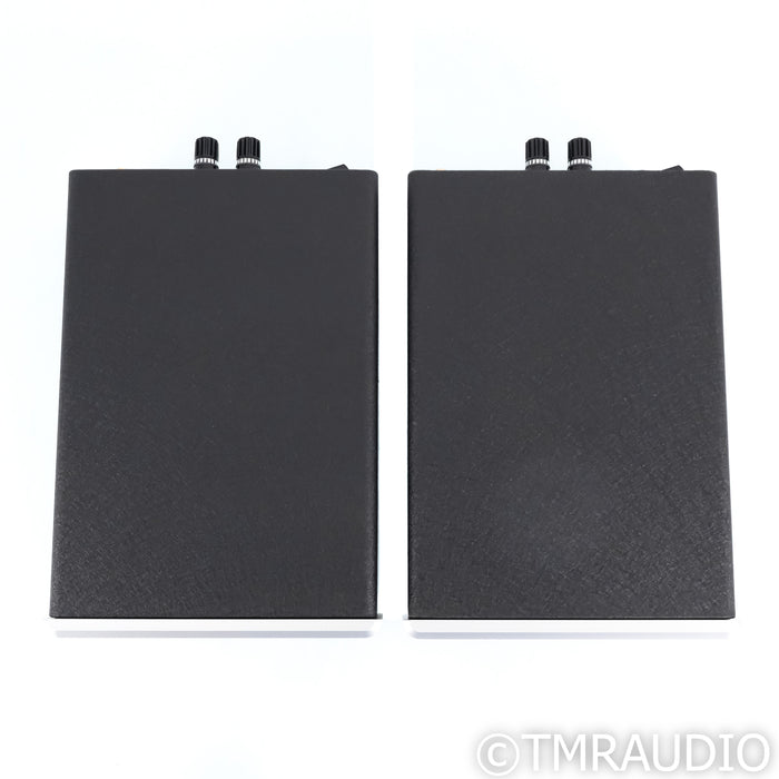 Bel Canto e.One REF600M Monoblock Power Amplifiers; Pair