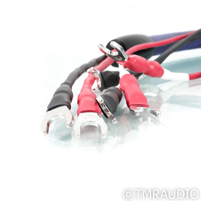 Cardas Clear Cygnus Bi-Wire Speaker Cables; 3m Pair; 9mm Spades (Open Box)