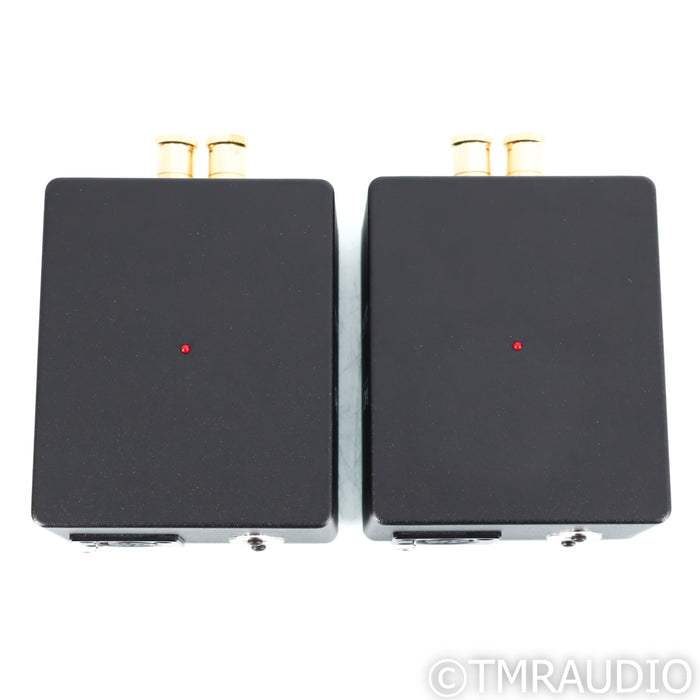 Digital Amplifier Company Maraschino Cherry Monoblock Power Amplifiers; Pair
