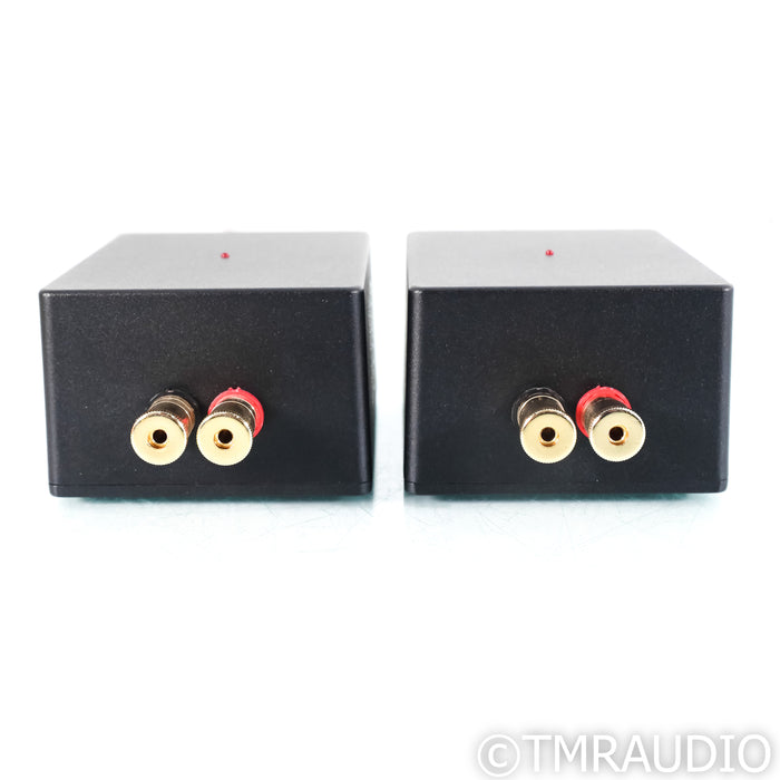 Digital Amplifier Company Maraschino Cherry Monoblock Power Amplifiers; Pair