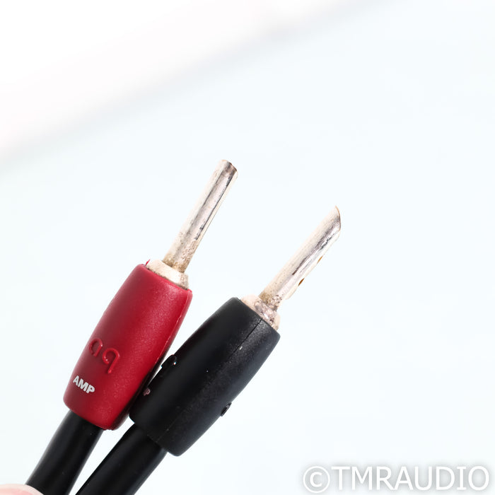 AudioQuest CV-8 Hyperlitz Speaker Cables; 8ft Pair