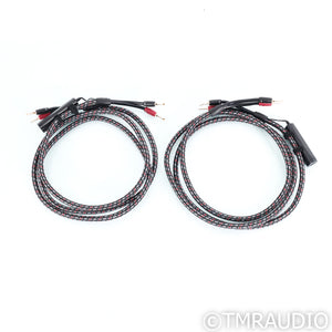 AudioQuest CV-8 Hyperlitz Speaker Cables; 8ft Pair