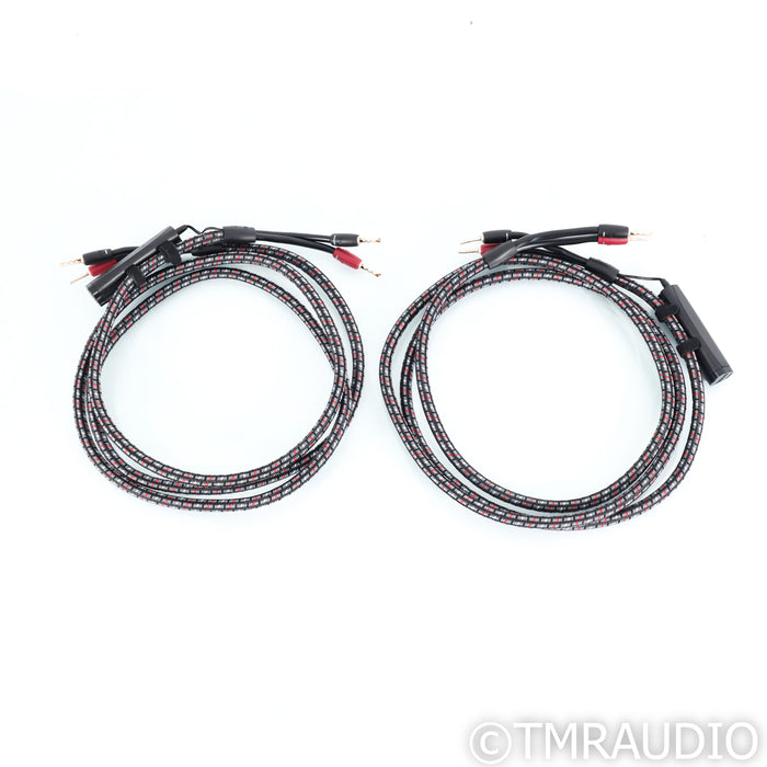 AudioQuest CV-8 Hyperlitz Speaker Cables; 8ft Pair