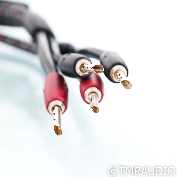 AudioQuest CV-8 Hyperlitz Speaker Cables; 8ft Pair