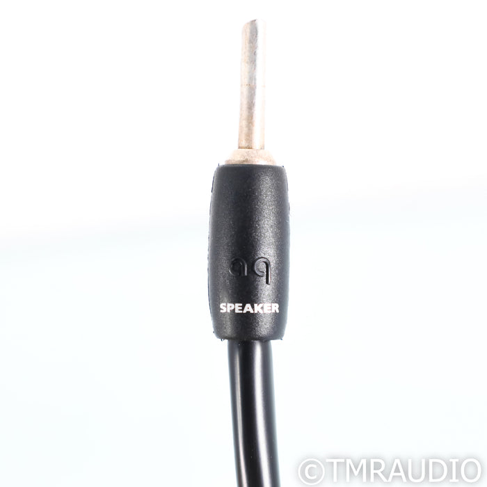 AudioQuest CV-8 Hyperlitz Speaker Cables; 8ft Pair