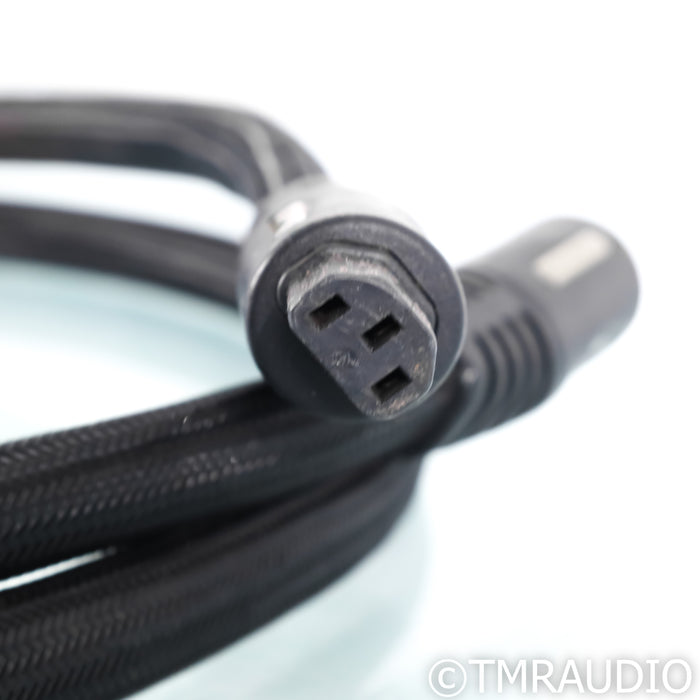 PS Audio Statement Power Cable; 3m AC Cord