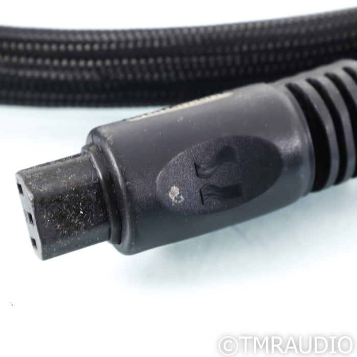 PS Audio Statement Power Cable; 3m AC Cord