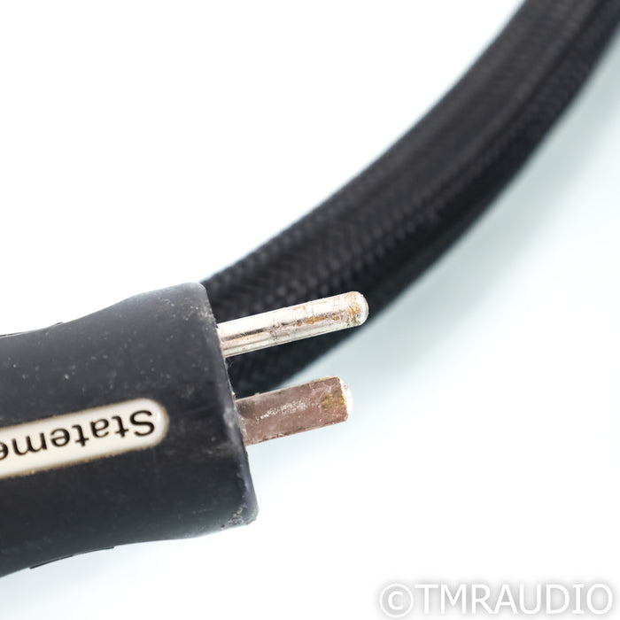 PS Audio Statement Power Cable; 3m AC Cord