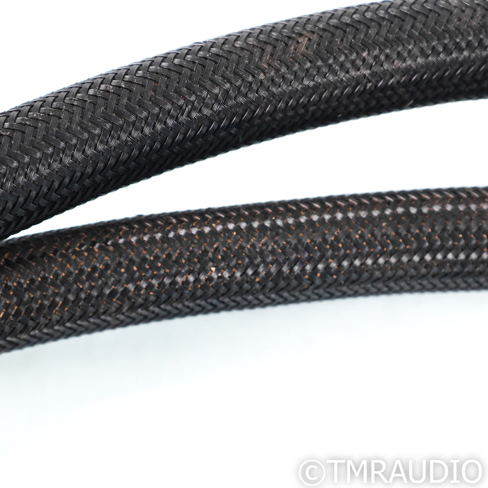 PS Audio Statement Power Cable; 3m AC Cord