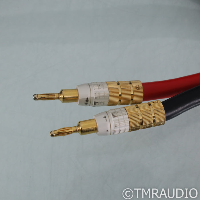 PS Audio Xstream Statement Speaker Cables; 7m Pair