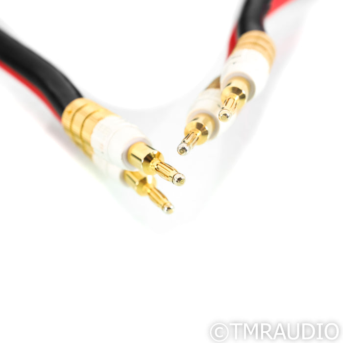 PS Audio Xstream Statement Speaker Cables; 7m Pair