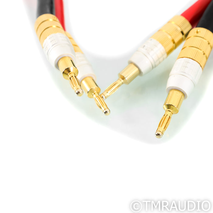 PS Audio Xstream Statement Speaker Cables; 7m Pair