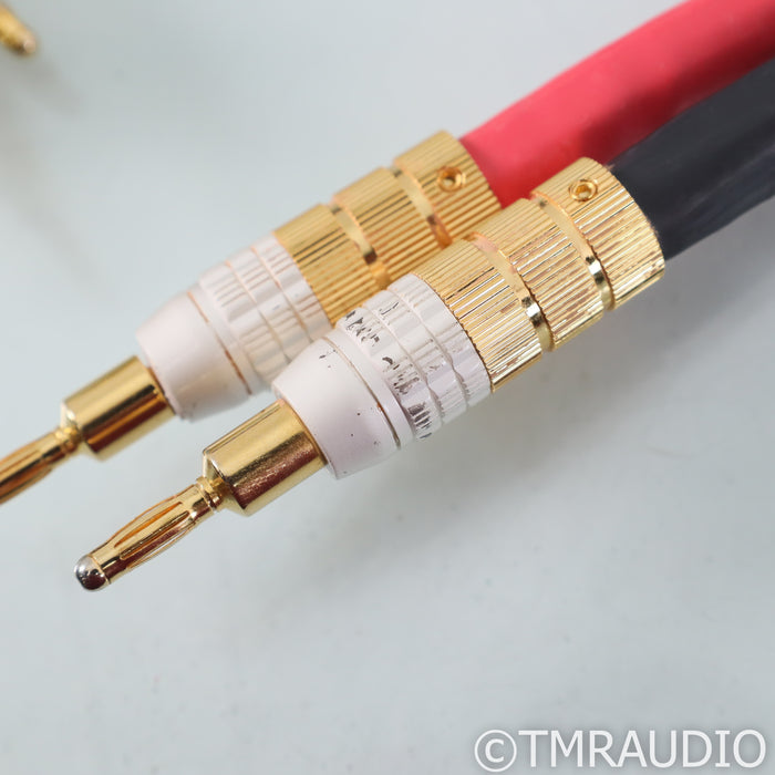 PS Audio Xstream Statement Bi-Wire Speaker Cables; 2.5m  Pair