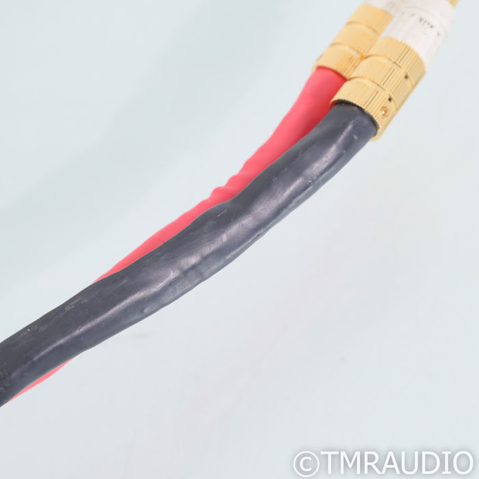 PS Audio Xstream Statement Bi-Wire Speaker Cables; 2.5m  Pair