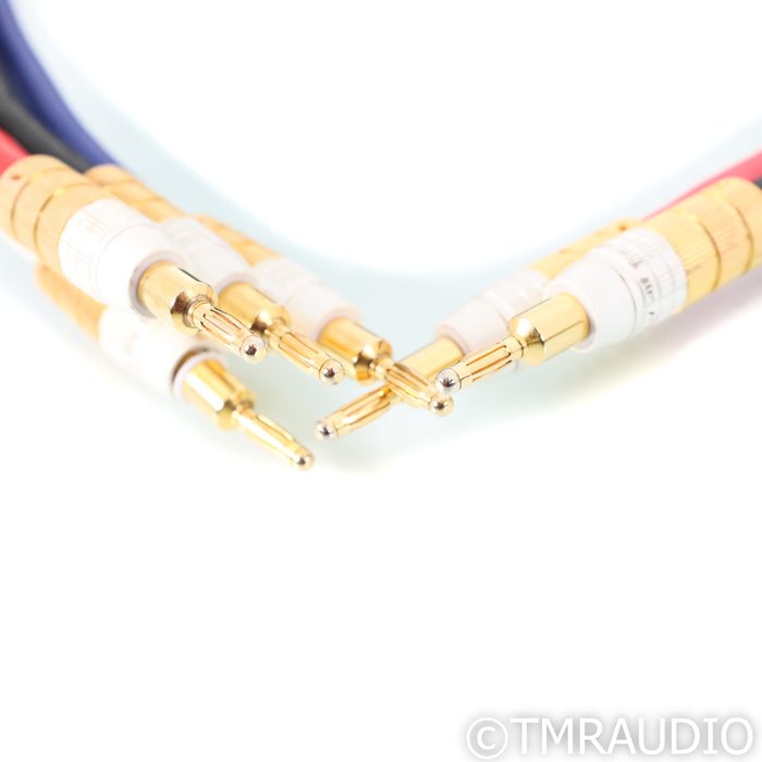 PS Audio Xstream Statement Bi-Wire Speaker Cables; 2.5m  Pair