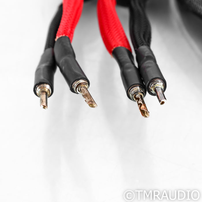 WireWorld Silver Eclipse 7 Speaker Cables; 3m Pair