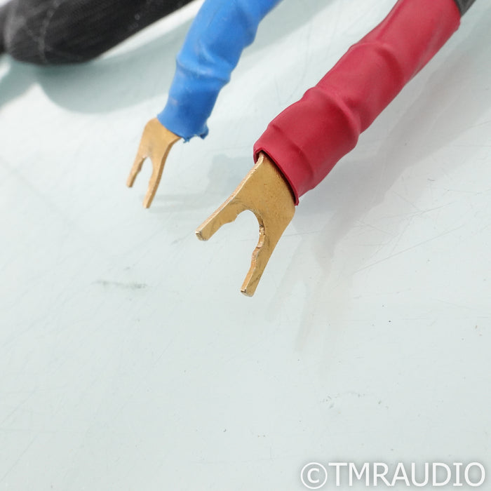 Kubala-Sosna Realization Speaker Cables; 2m Pair