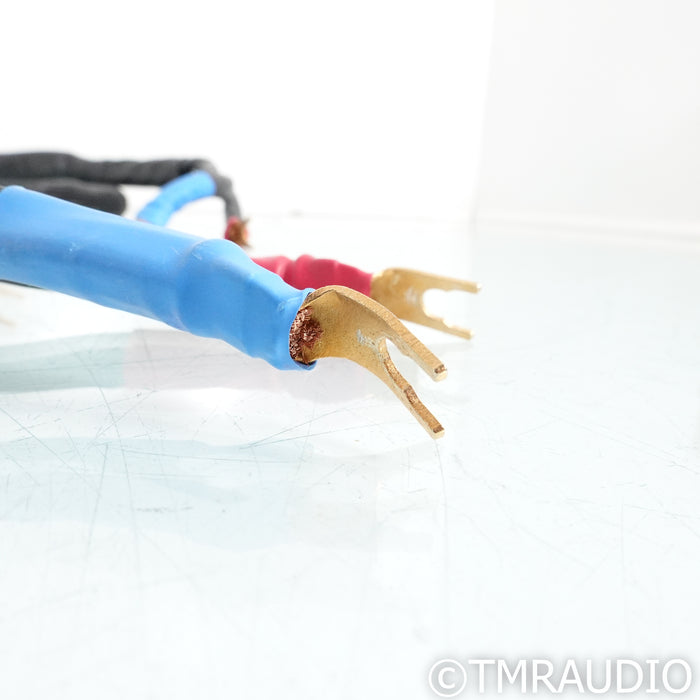 Kubala-Sosna Realization Speaker Cables; 2m Pair