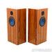 Audio Note UK AN-E/SPx AlNiCo Floorstanding Speakers; Tulip Pair