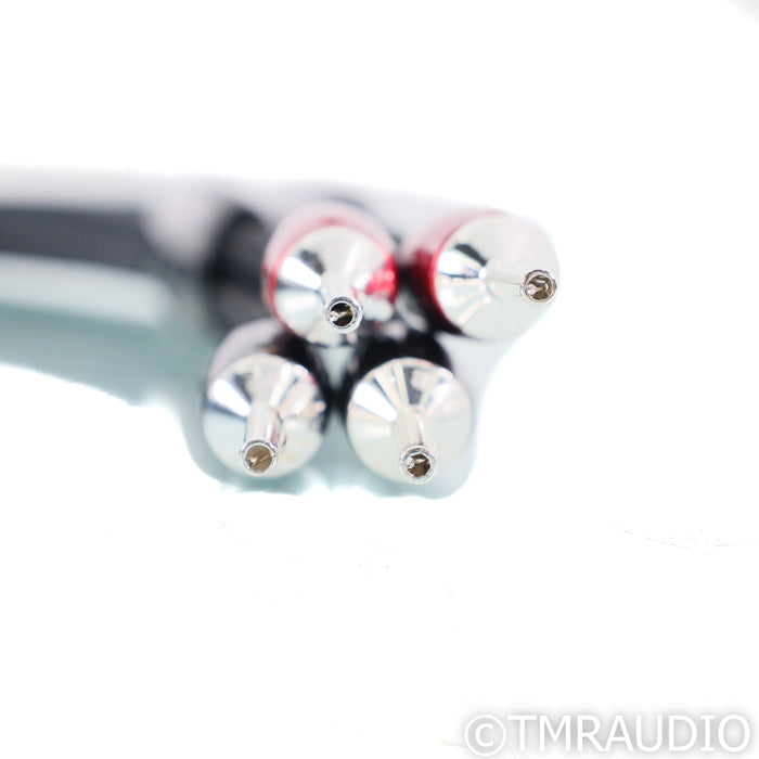 AudioQuest Meteor Bi-Wire Speaker Cables; 13ft Pair