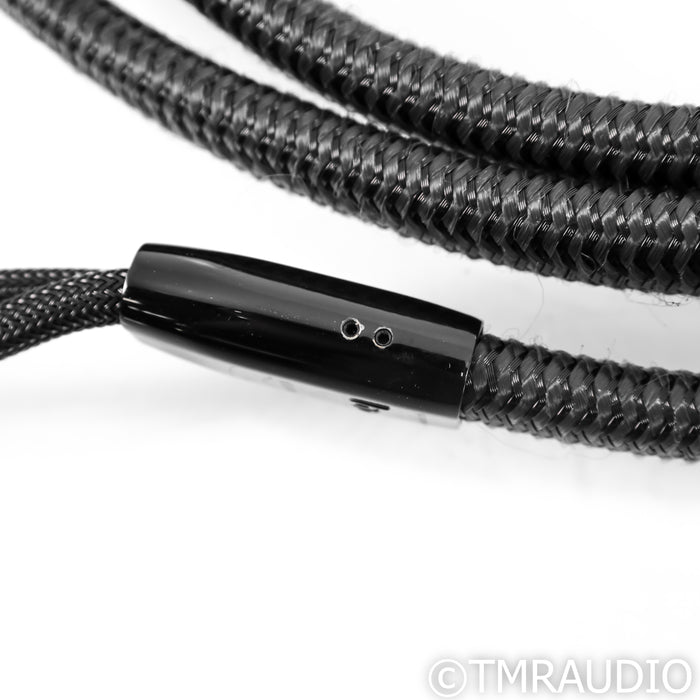 AudioQuest Meteor Bi-Wire Speaker Cables; 10ft Pair; 72V DBS