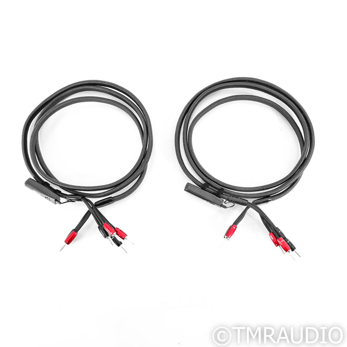 AudioQuest Meteor Bi-Wire Speaker Cables; 10ft Pair; 72V DBS