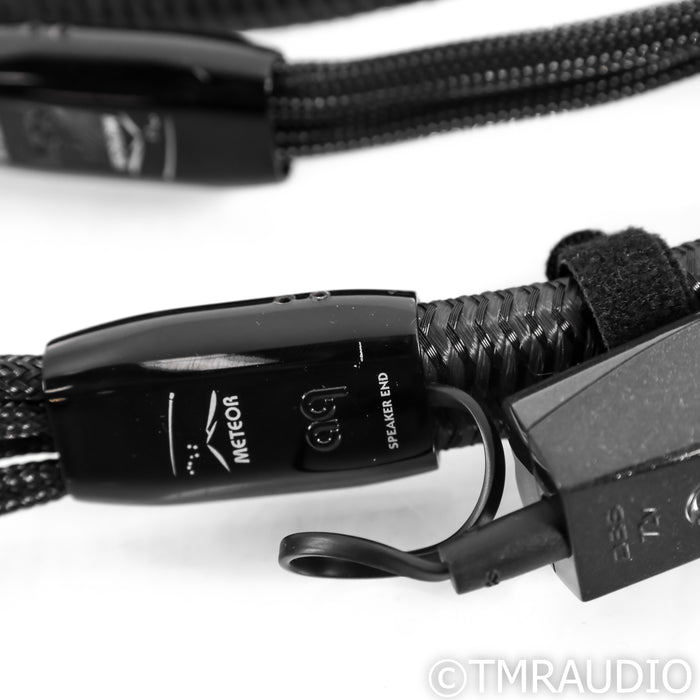 AudioQuest Meteor Bi-Wire Speaker Cables; 10ft Pair; 72V DBS