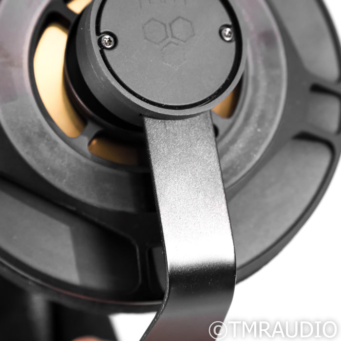 Final Audio D8000 Pro Limited Edition Open Back Headphones