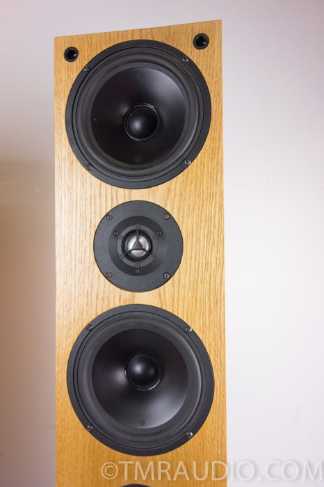 Audio Artistry Mozart Floorstanding Speakers
