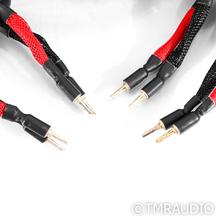 WireWorld Eclipse 10 Speaker Cables; 2m Pair
