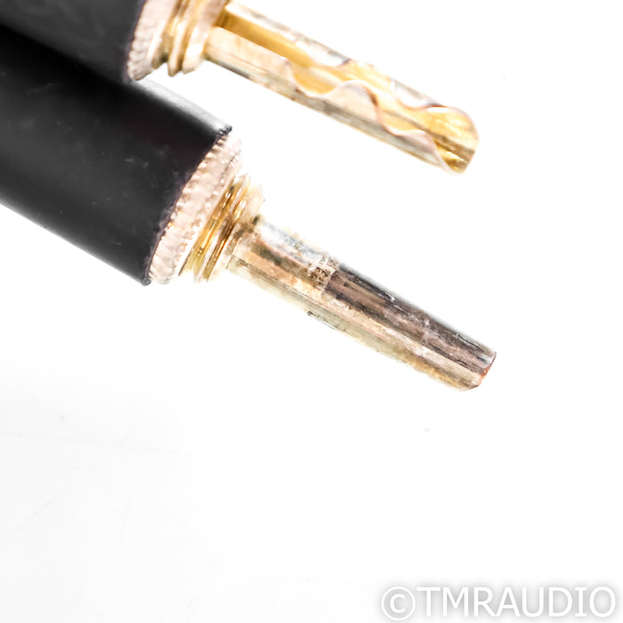 WireWorld Eclipse 10 Speaker Cables; 2m Pair