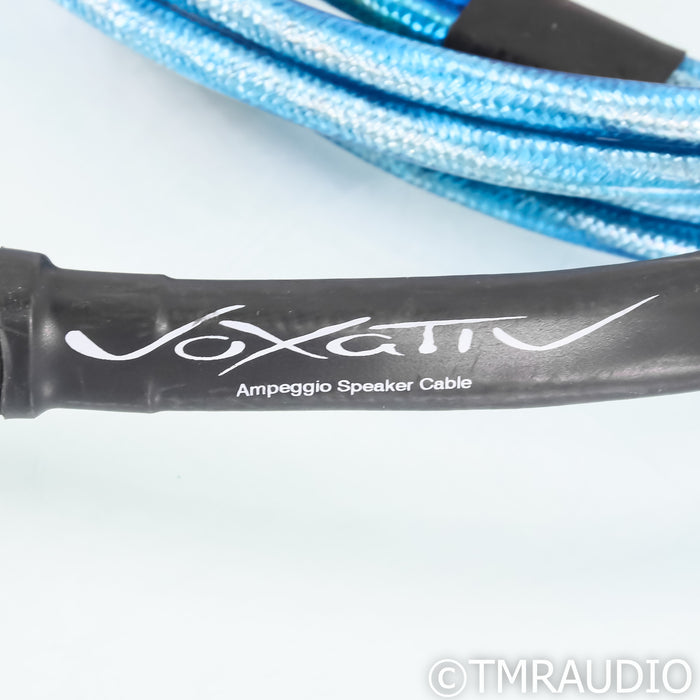 Voxativ Ampeggio Blue Speaker Cables; 12ft Pair