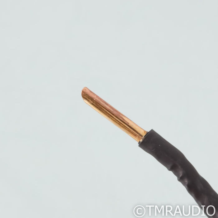 Voxativ Ampeggio Blue Speaker Cables; 12ft Pair