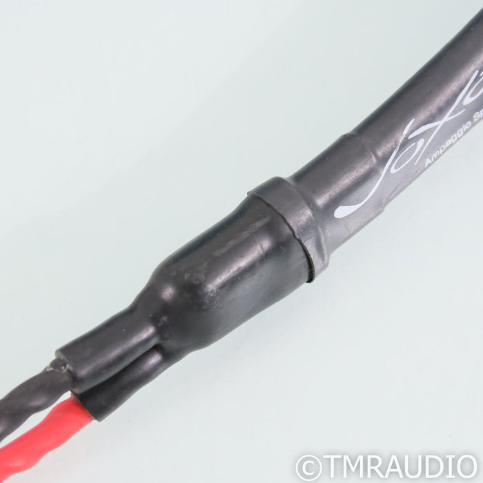 Voxativ Ampeggio Blue Speaker Cables; 12ft Pair