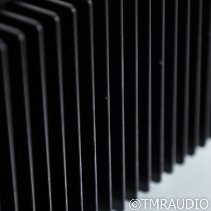Van Alstine DVA M225 Monoblock Power Amplifiers; Pair