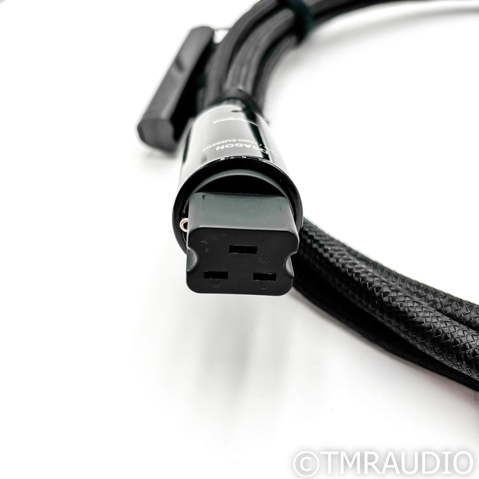 AudioQuest Dragon High Current Power Cable; 1.5m AC Cord; C19 20A